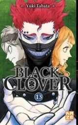 Vol. 13