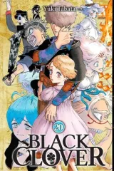 Vol. 20