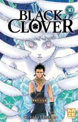 Vol. 30
