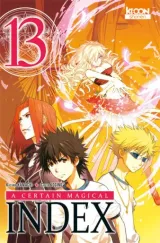 Vol. 13