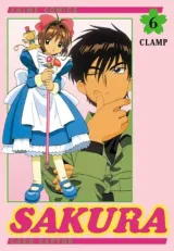 Vol. 6
