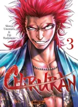 Vol. 3