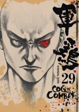 Vol. 29