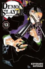 Vol. 13