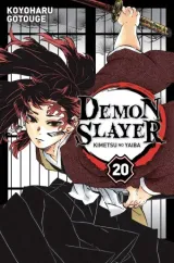 Vol. 20