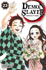 Vol. 23