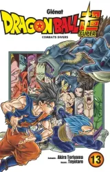Vol. 13