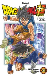 Vol. 20