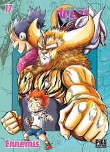 Vol. 17