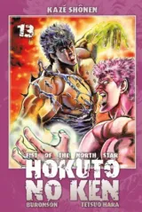 Vol. 13