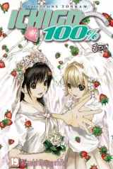 Vol. 19