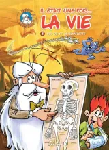 Vol. 3
