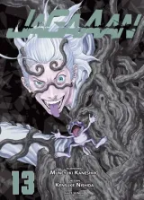 Vol. 13