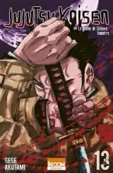 Vol. 13