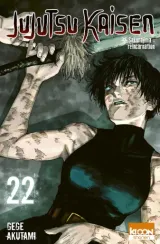 Vol. 22