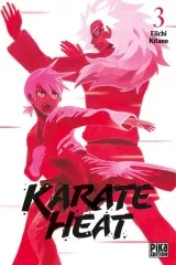 Vol. 3