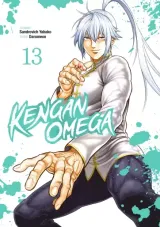 Vol. 13