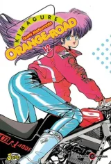 Vol. 13