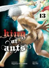 Vol. 13