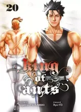 Vol. 20