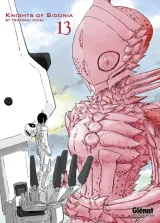 Vol. 13