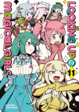 Vol. 11
