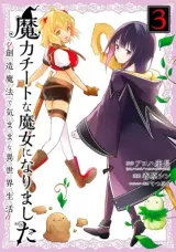 Vol. 3