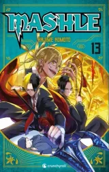 Vol. 13