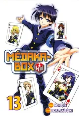 Vol. 13