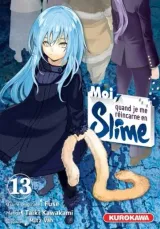 Vol. 13