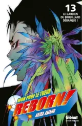 Vol. 13