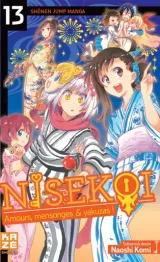 Vol. 13