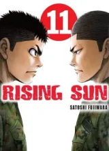 Vol. 11
