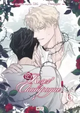 Vol. 6