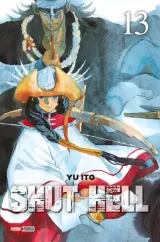 Vol. 13