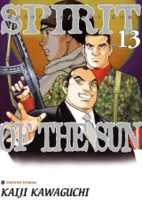Vol. 13