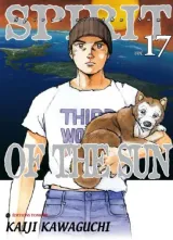 Vol. 17