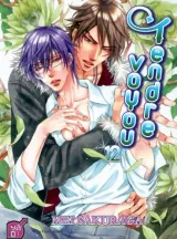 Vol. 12
