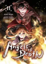 Vol. 11