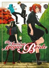 Vol. 11
