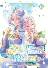 Vol. 6