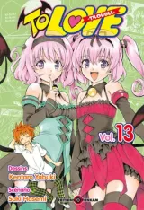 Vol. 13
