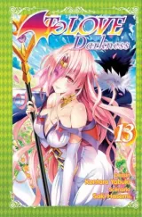Vol. 13