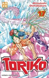 Vol. 17