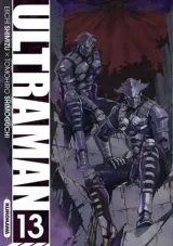 Vol. 13