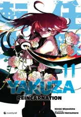 Vol. 11