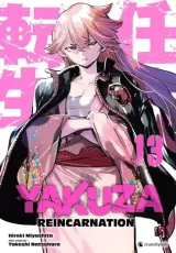 Vol. 13