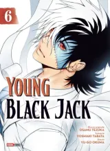 Vol. 6