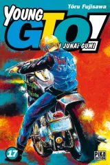 Vol. 17