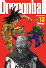 Vol. 13